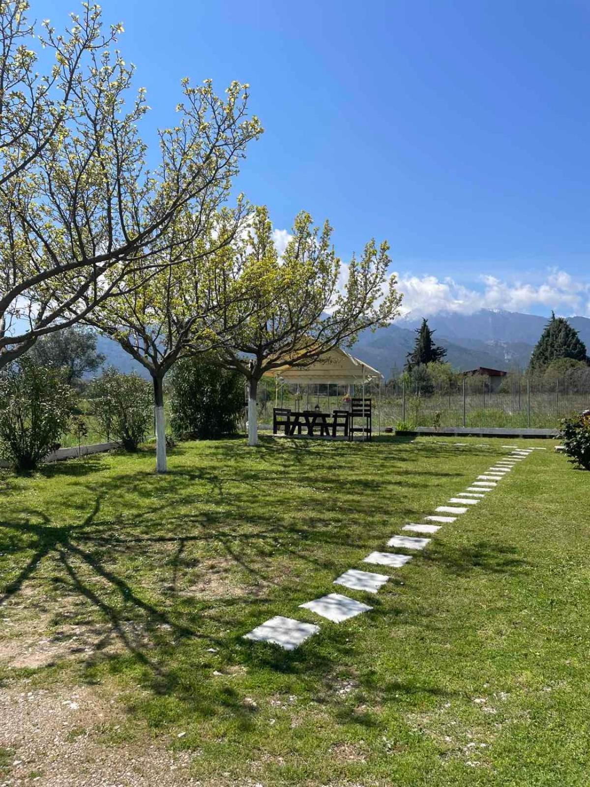 Plaka Luxury Villa 里托楚伦 外观 照片